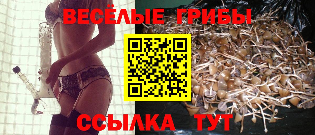 Советский  Галлюциногенные грибы мухоморы  Вход с VPN 