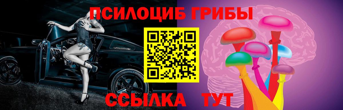 Галлюциногенные грибы Psilocybe Советский